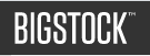 Bigstockphoto Coupon & Promo Codes