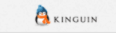 Kinguin Coupon & Promo Codes